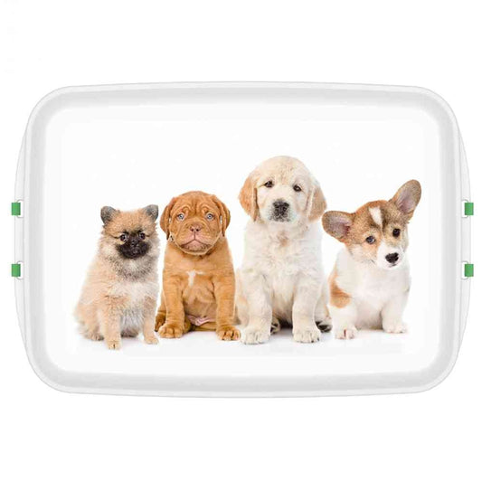 Biokunststoff Lunchbox mit Hunde-Motiv » Biodora